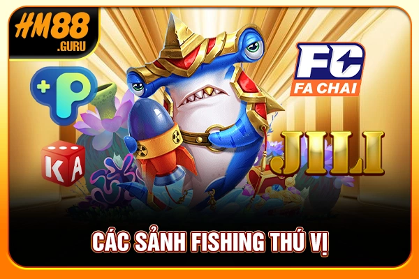 Các sảnh fishing thú vị Các sảnh fishing thú vị