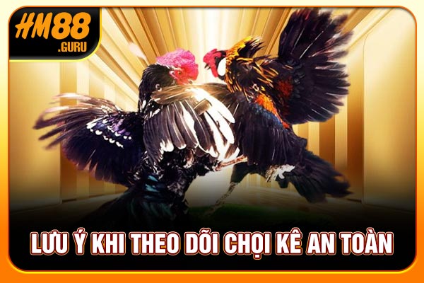 Lưu ý khi theo dõi chọi kê an toàn